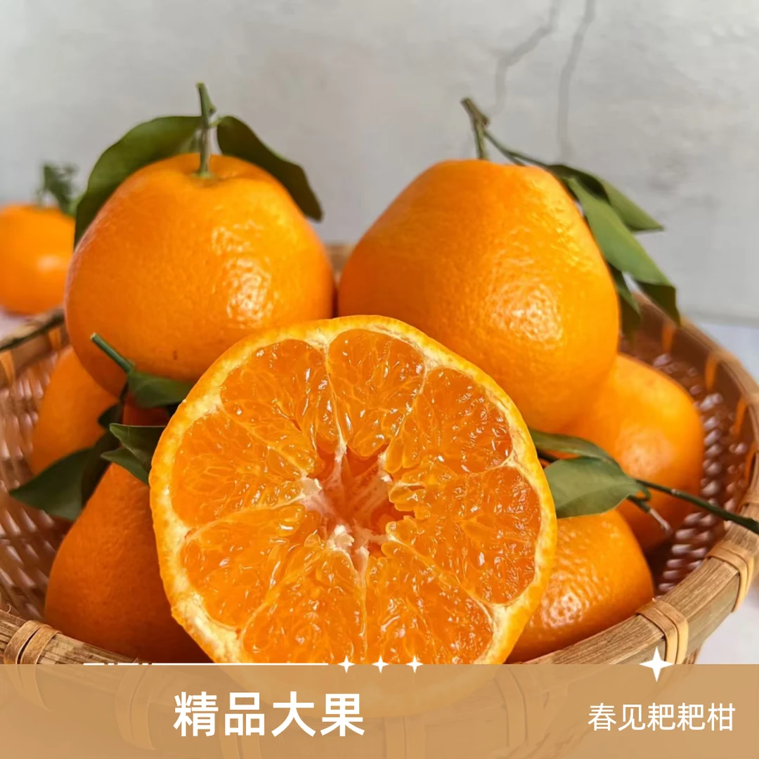 四川春见耙耙柑精品果 3斤±0.2 顺丰包邮耙耙柑四川省四川省成都市