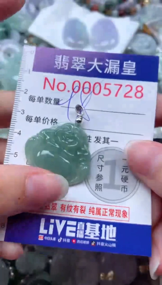 翡翠未镶嵌吊坠(不含链)5728