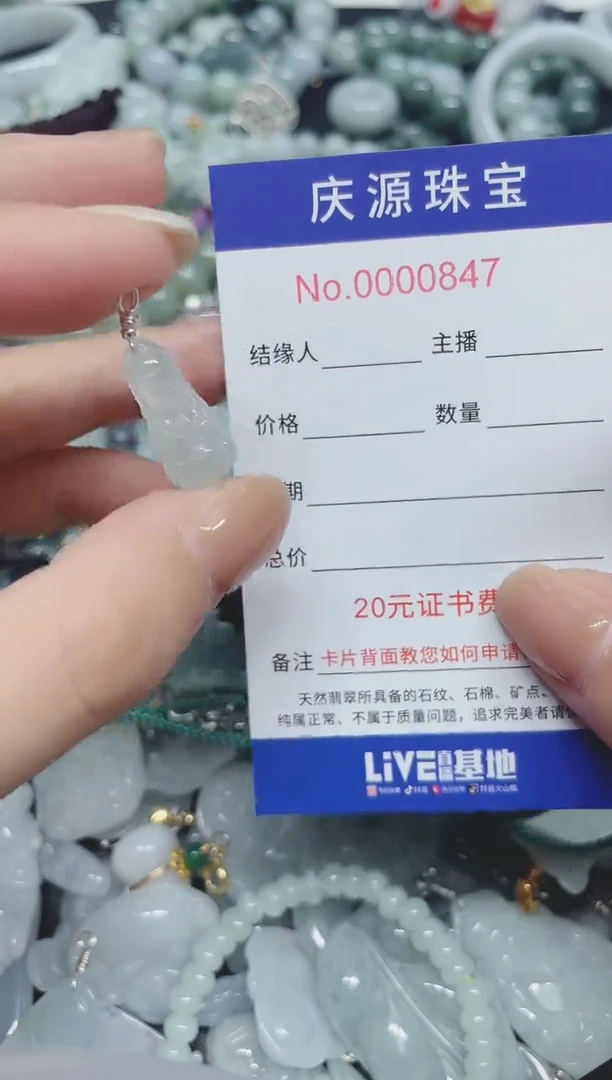 翡翠未镶嵌颈饰221（多样性发其一）