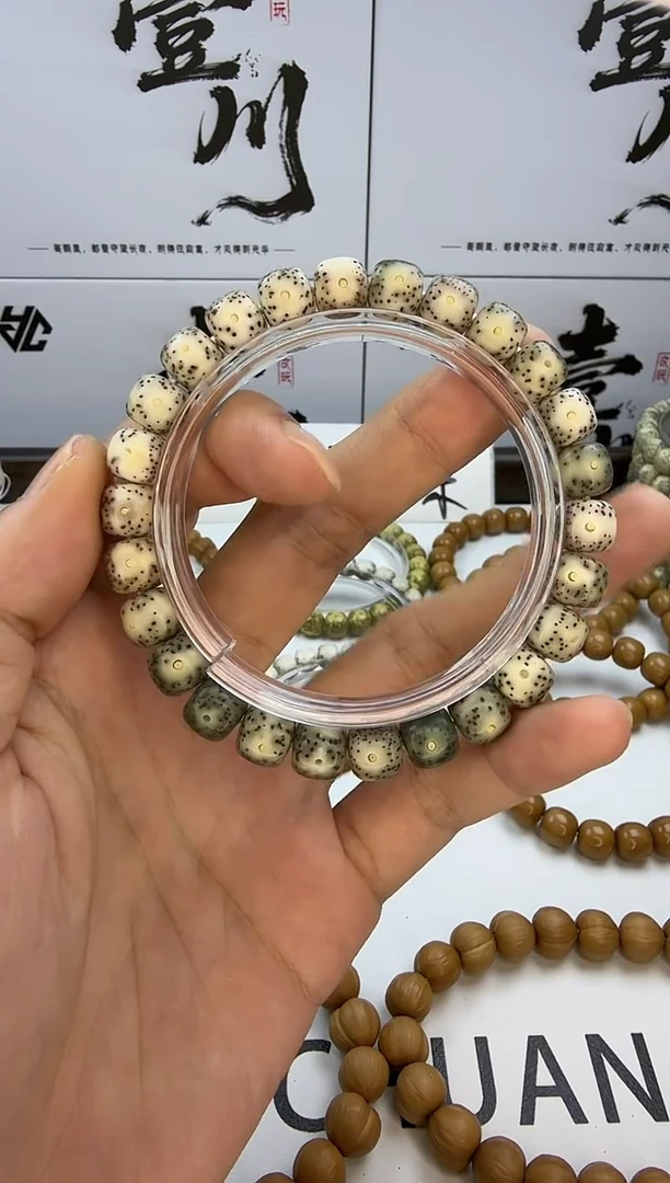 手串星月菩提9/8 石玉料 同枝果
