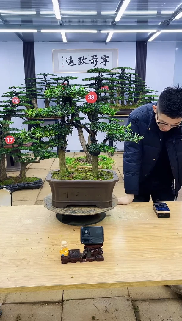 【闪购商品】00000000