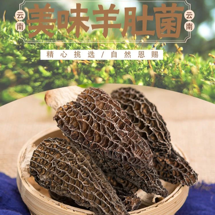 【野绿山】云南丘北野味山珍羊肚菌50g包装