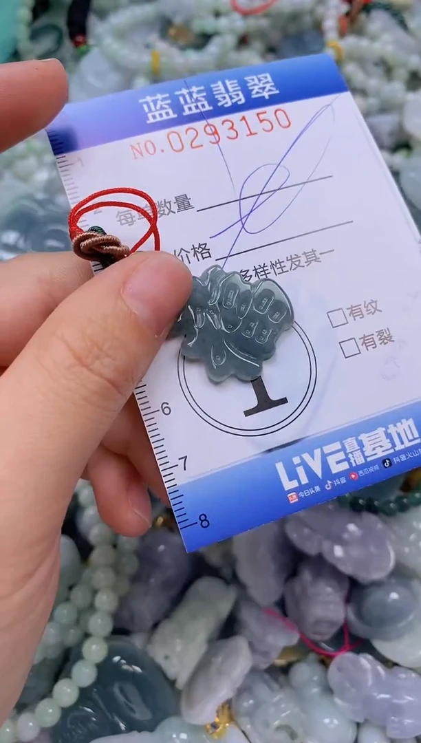 翡翠未镶嵌颈饰闪购0293150多样性发其一