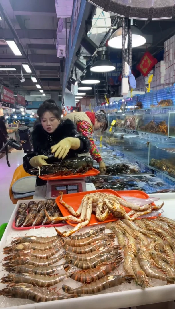 中国大陆?**?鲜活澳龙1只，4斤