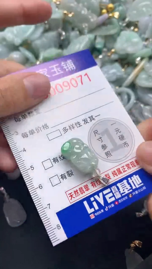 颈饰未镶嵌翡翠9071