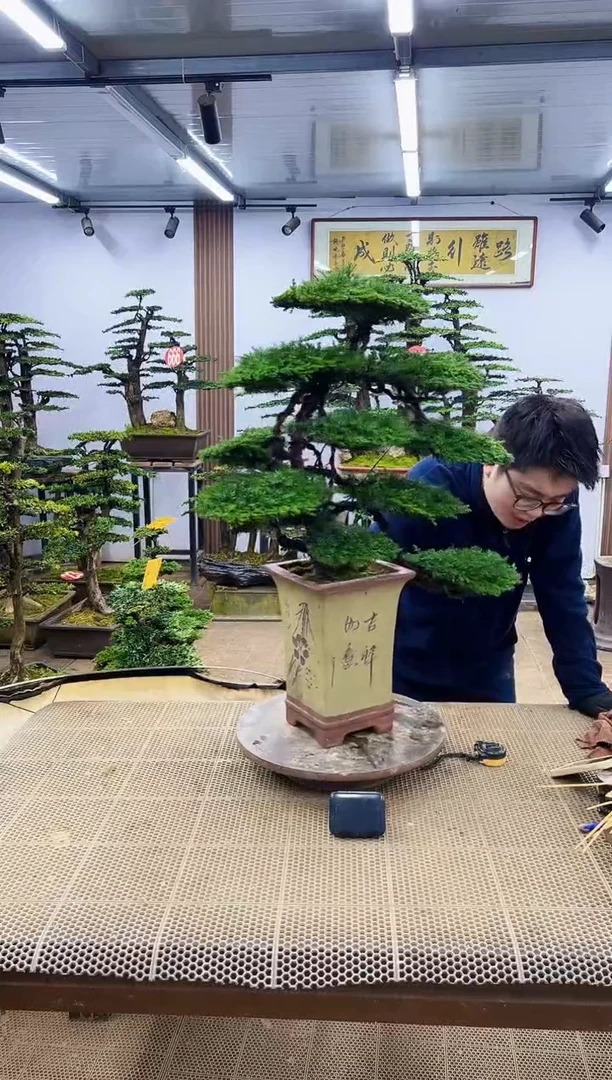 【闪购商品】0000000
