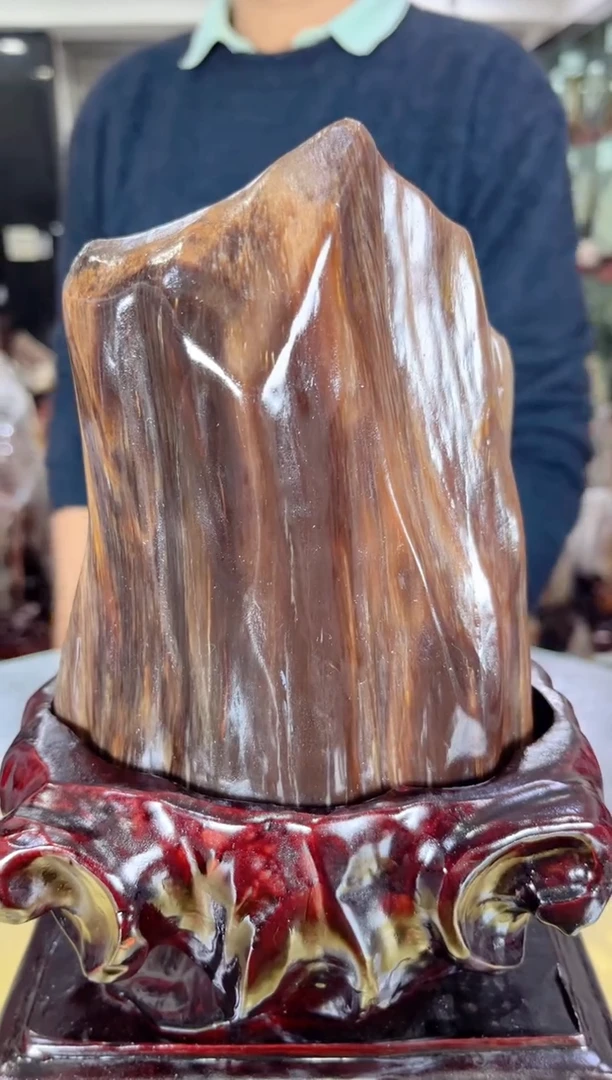 【闪购商品】硅化玉珠宝奇石未镶嵌缅甸天然树化玉