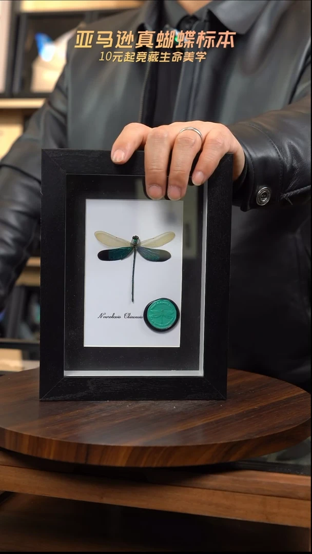 华艳色蟌火漆章版7寸黑框