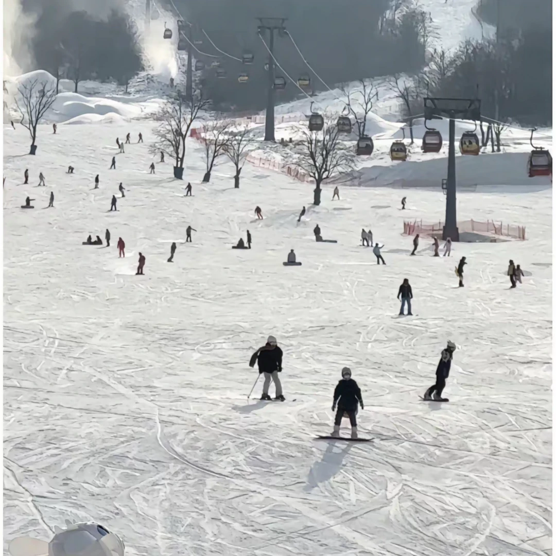 秋冬季保暖防寒滑雪25新款鹅绒冲锋连帽服