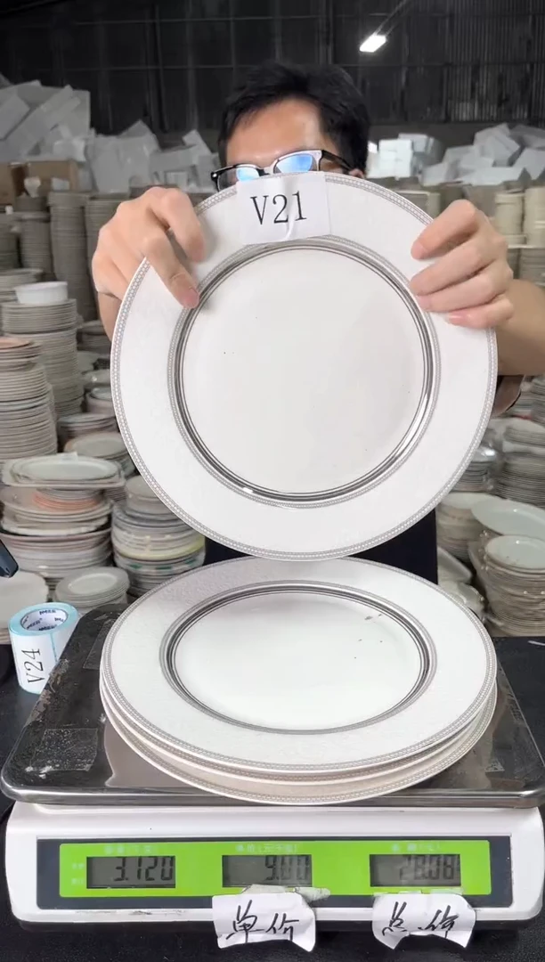 新骨瓷V21  10.5寸  4个