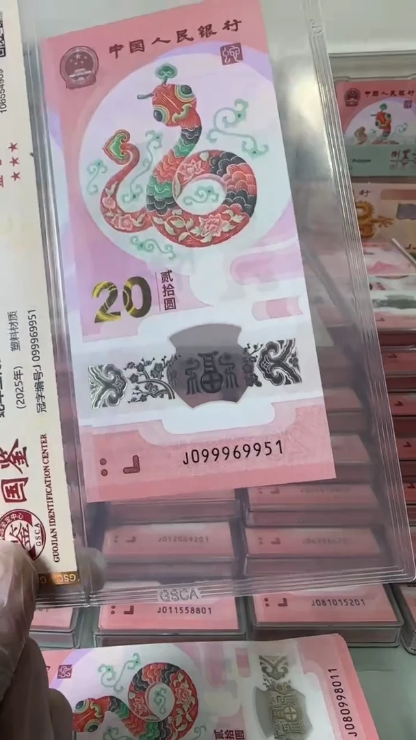 【闪购商品】塑料099969951-蛇钞单张！