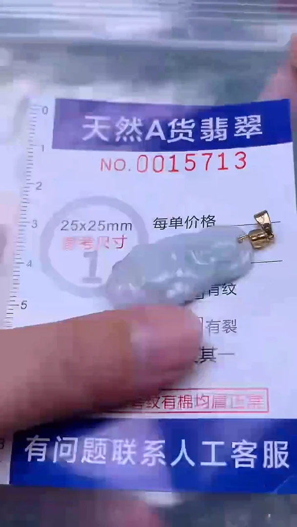 吊坠(赠链)未镶嵌翡翠1