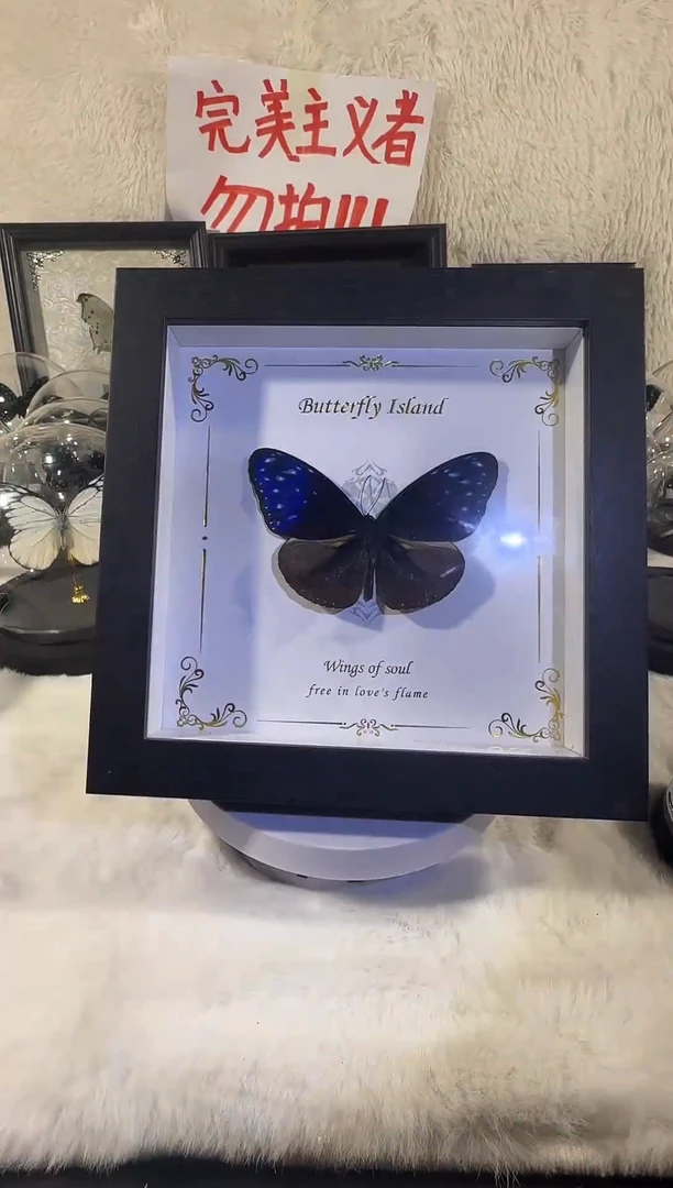 木异型紫斑蝶相框