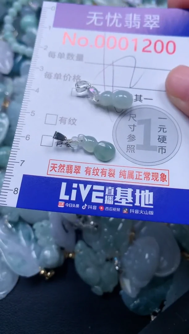 颈饰未镶嵌翡翠1200