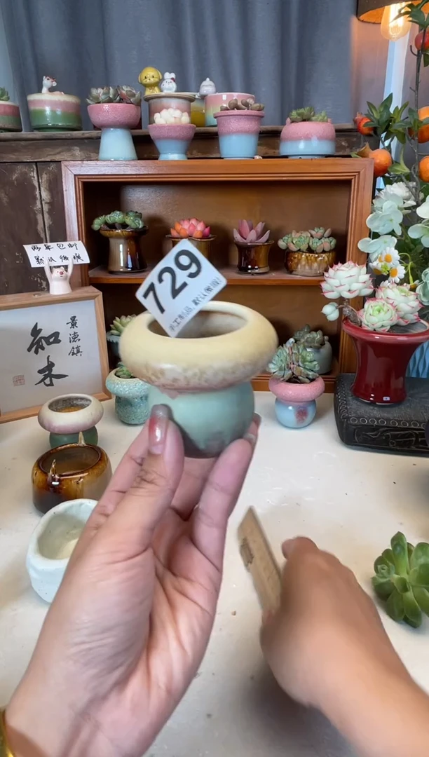 瓷片晚***星729知木小芳花盆编号
