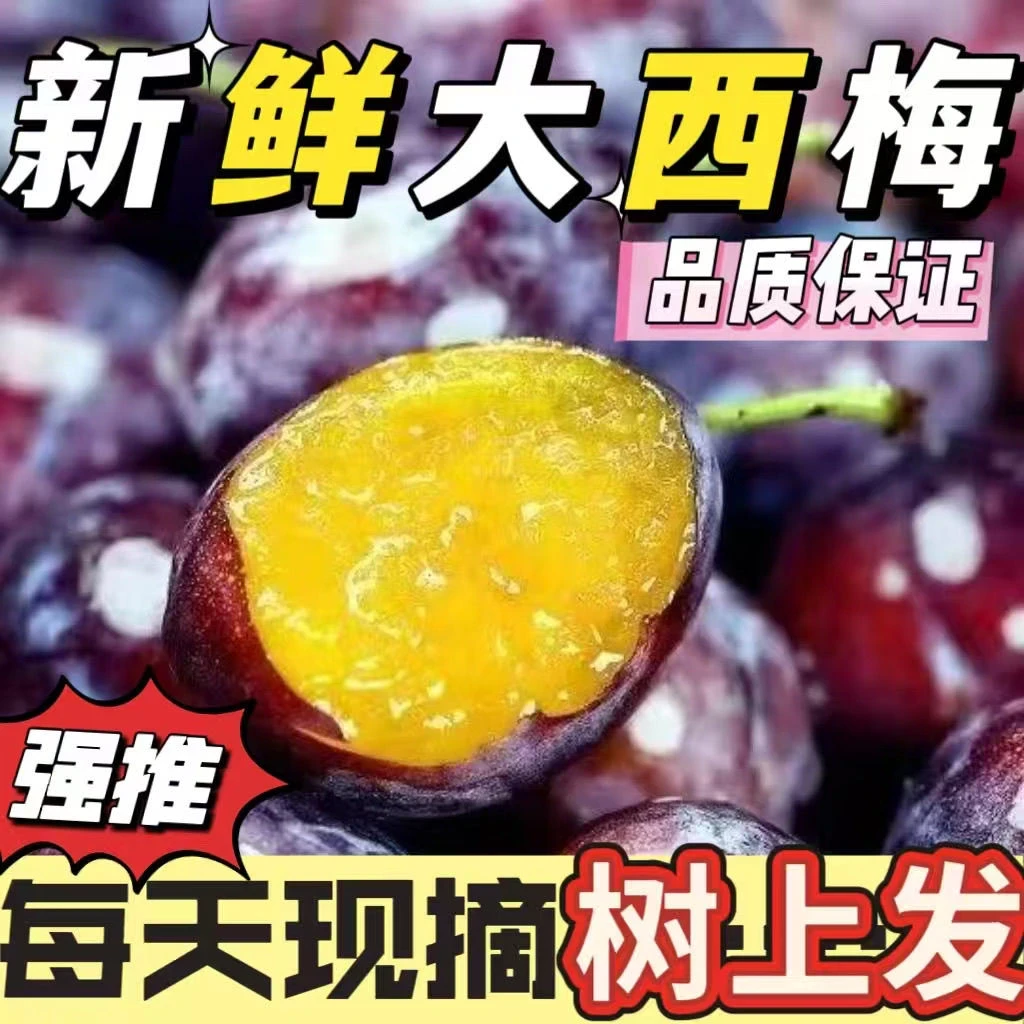 现摘正宗法兰西蓝西梅酸甜新鲜应季水果孕妇水果非李子