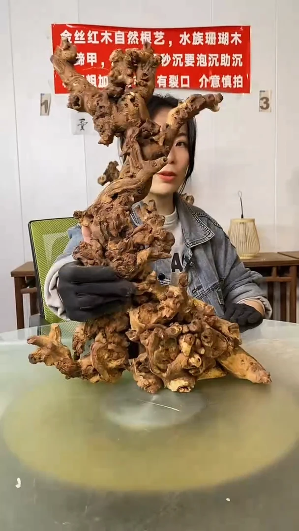 木新****馆金丝红木 羊蹄甲