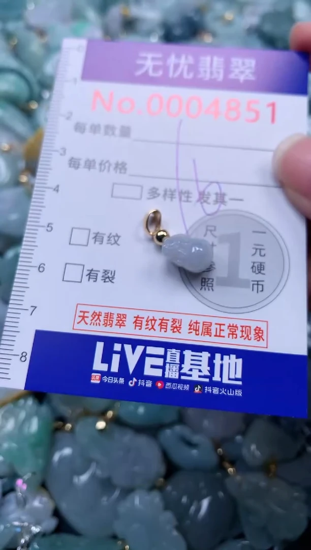 颈饰未镶嵌翡翠4851