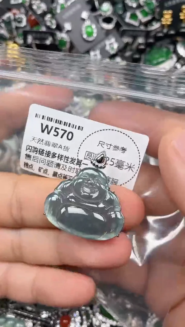 翡翠未镶嵌颈饰W570吊坠