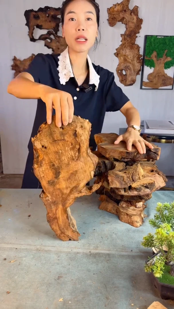 香杉木杉木瘤随型【原料】002