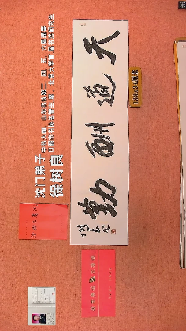 【闪购商品】书法110        徐树良书法作品