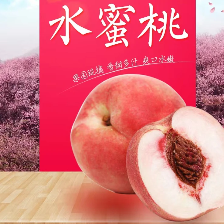 正宗肥城水蜜桃子9个装4.5斤新鲜皮薄桃香浓郁精美礼盒