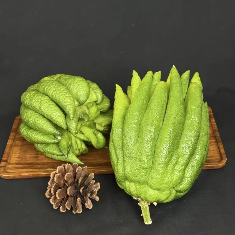 【一品花集】500-700克【佛手柑】 造型不指定