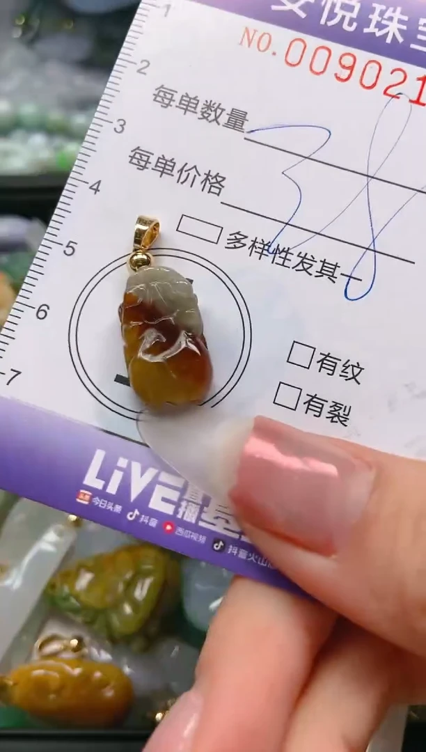 【闪购商品】翡翠颈饰未镶嵌闪购0090211