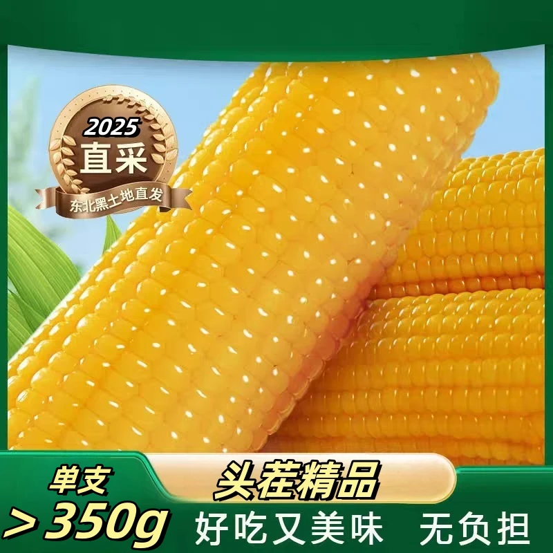 【试吃2根 7-8斤】2025年头茬新鲜玉米锁鲜玉米350-400g*10支一箱