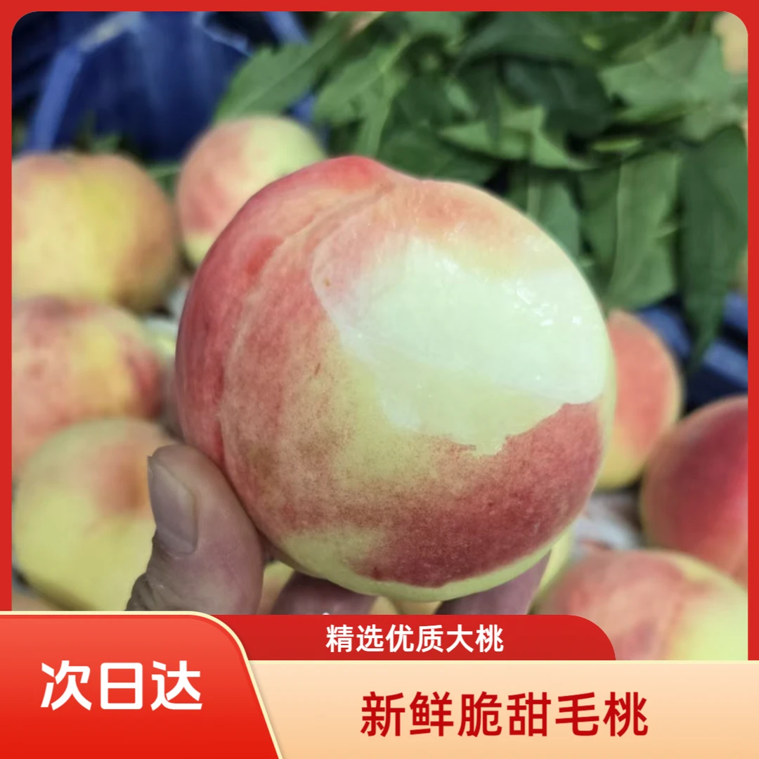 【平谷现摘大毛桃】脆甜口又脆又甜的毛桃 当季时令水果自然成熟脆甜多汁桃子北京市