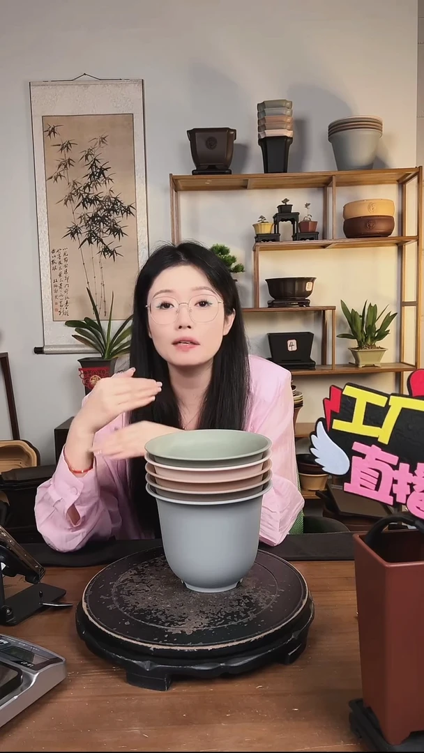5只18口径金钟马卡龙色系