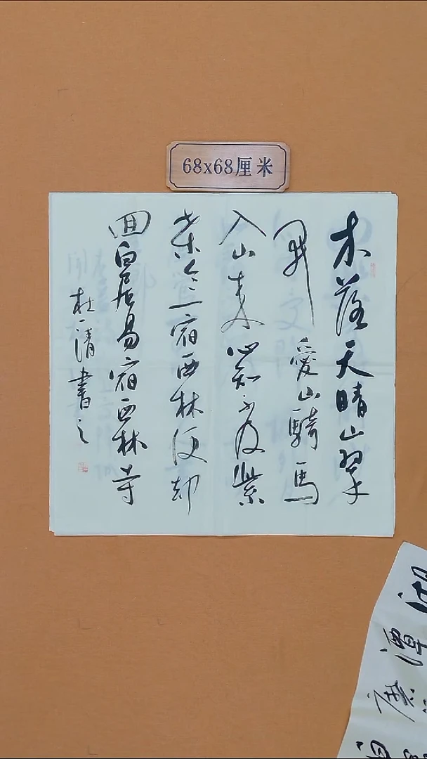 书法杜一清 河北 兰亭书家 68*68 四平尺