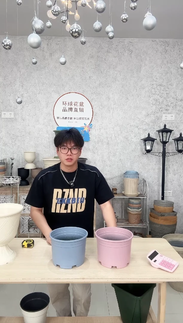 矮胖1.5加仑 蓝粉混色 10只 无托