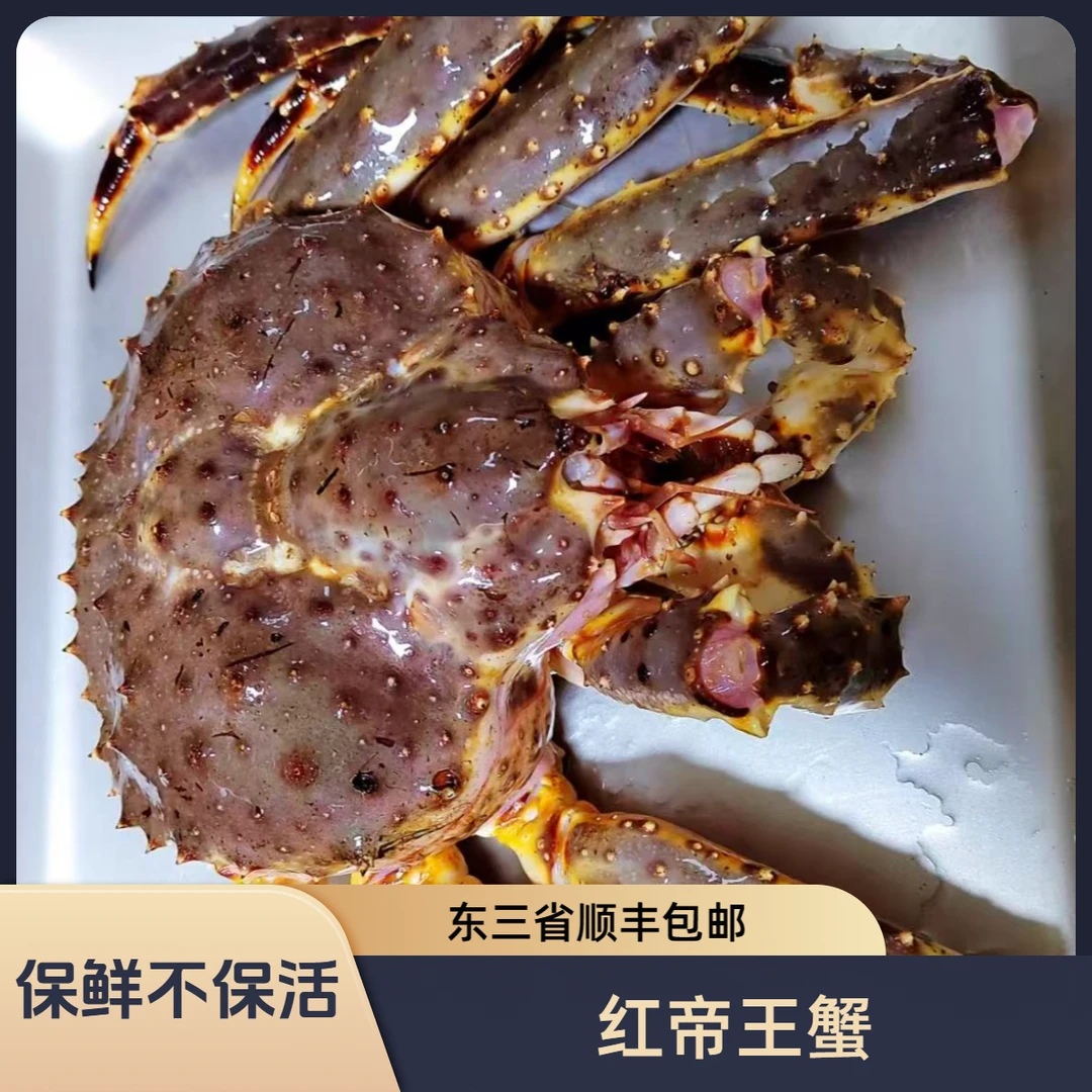 山水水产红帝王蟹（8%-10%）掉水/斤