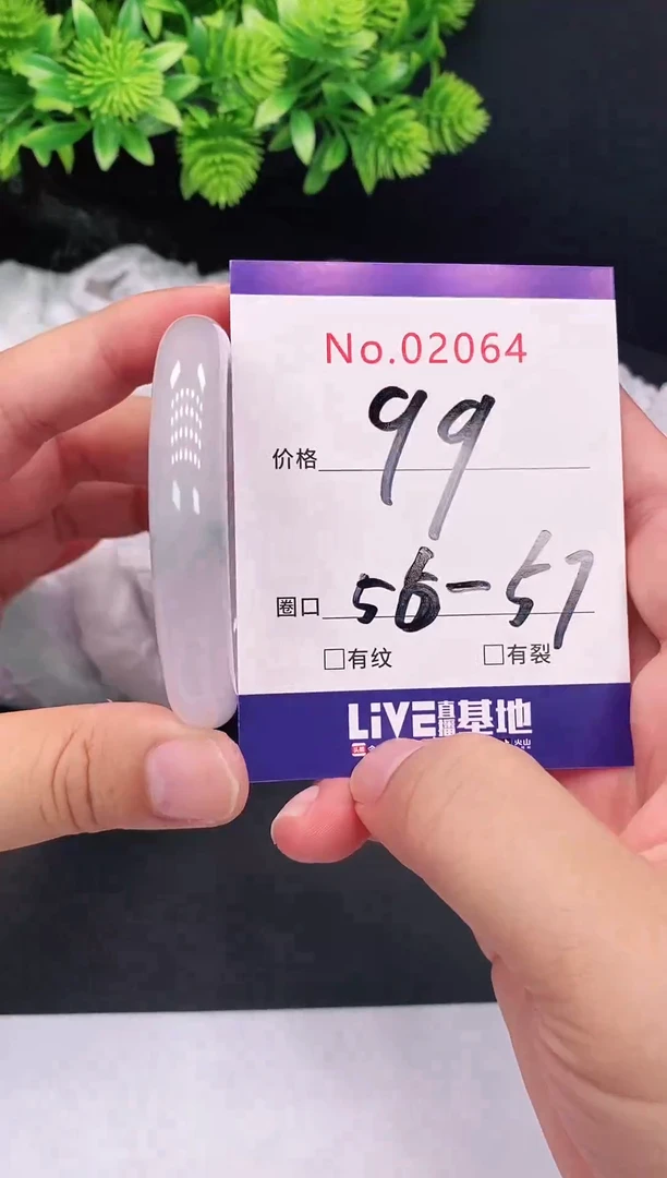 未镶嵌手镯翡翠2064