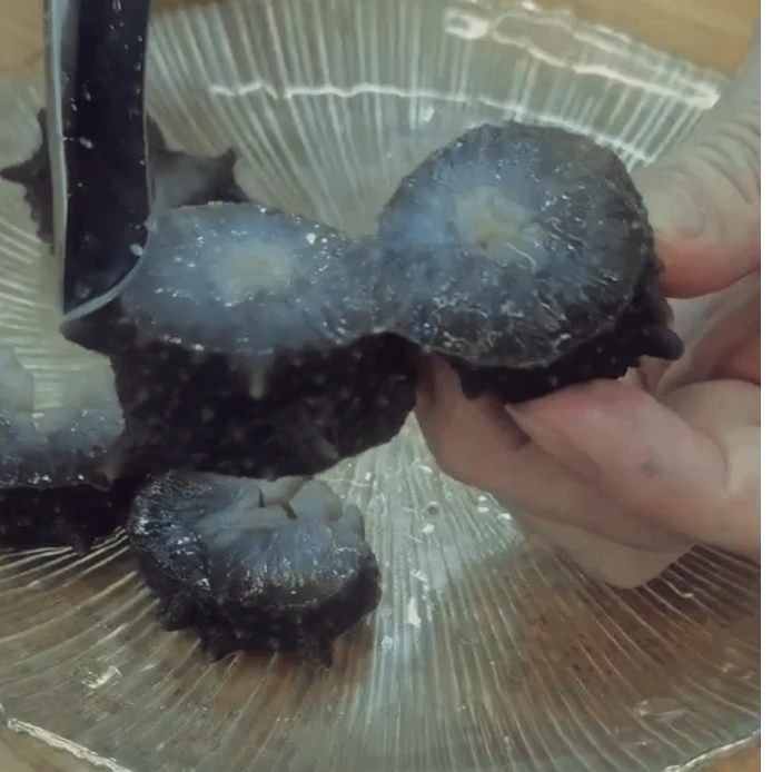 【低温熟化】山东龙口鲜食海参6-15头大个弹牙500克包邮