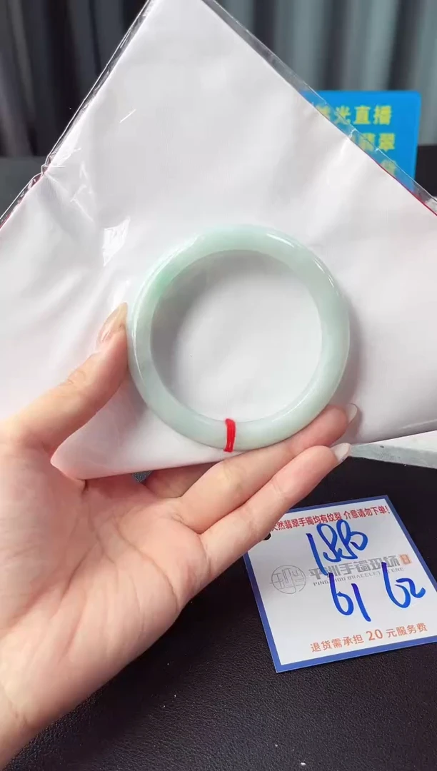 未镶嵌手镯翡翠11111
