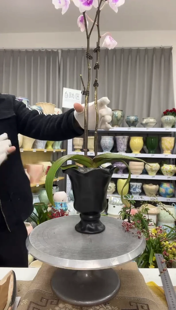 【12.18】花盆链接 高：17  口：12