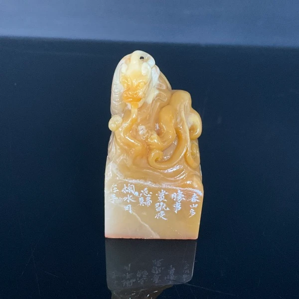 篆刻王善增X53723掬水月在手（10）