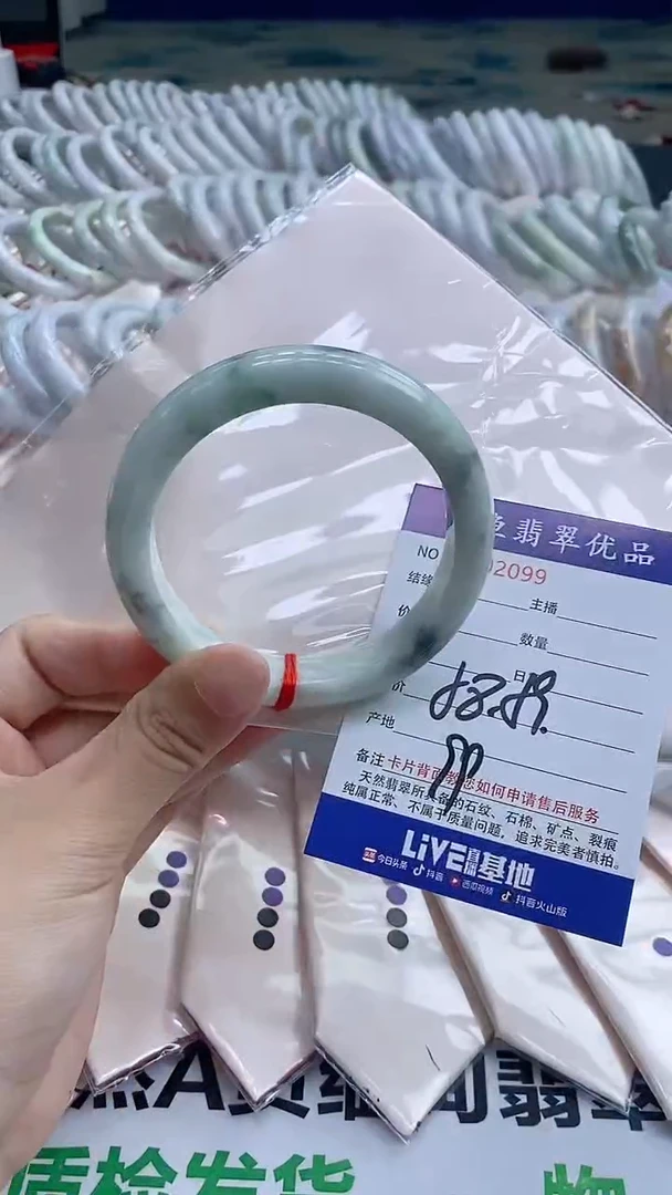 翡翠手镯未镶嵌2099