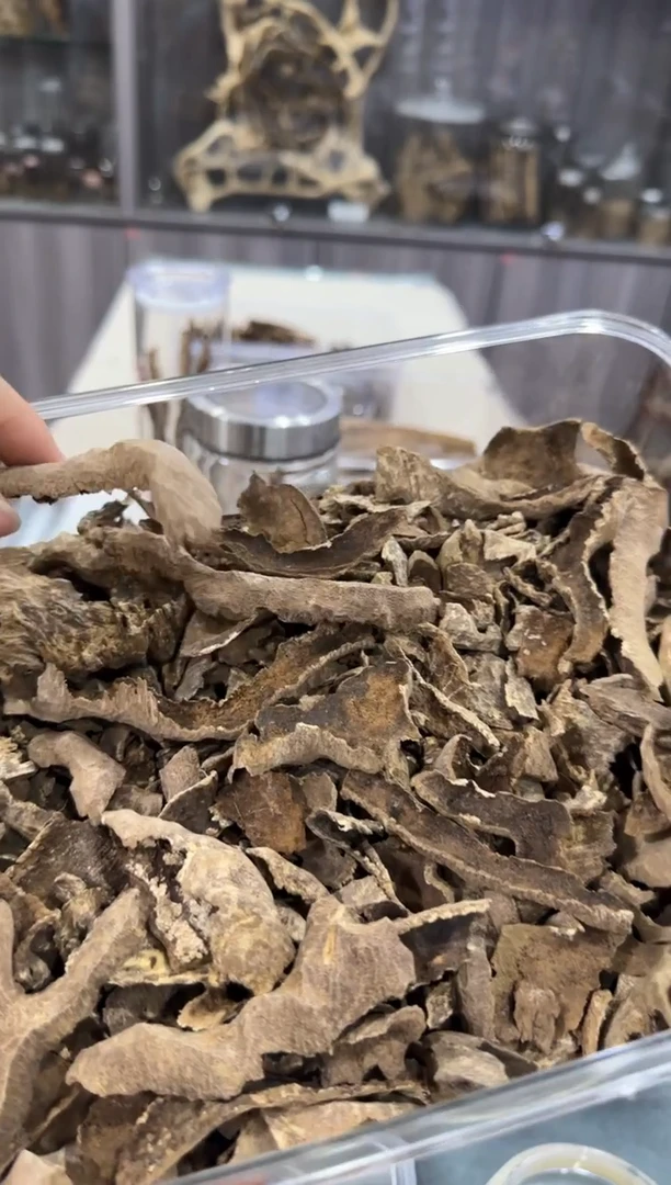 香料11-海南文昌岭鸡母虫料10克