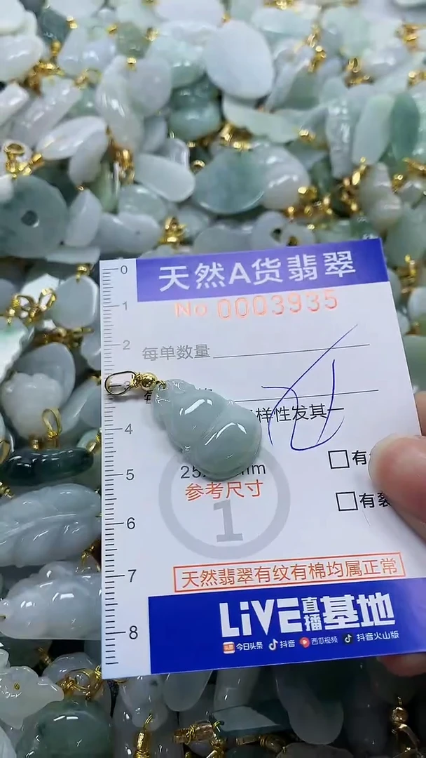 颈饰未镶嵌翡翠纯天然a货翡翠