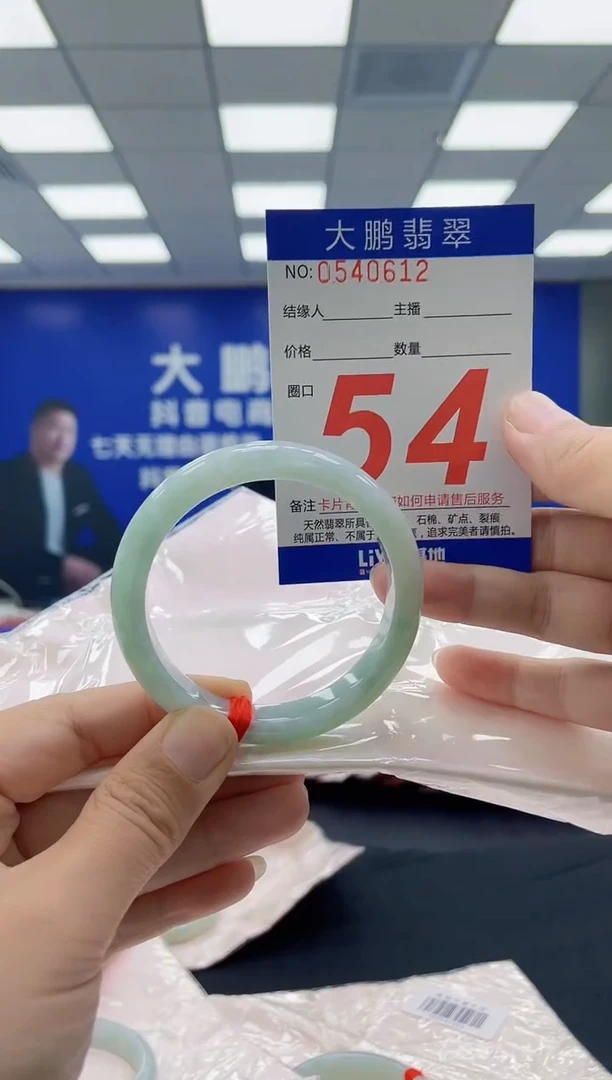 未镶嵌手镯翡翠 AAAAAAAAAA
