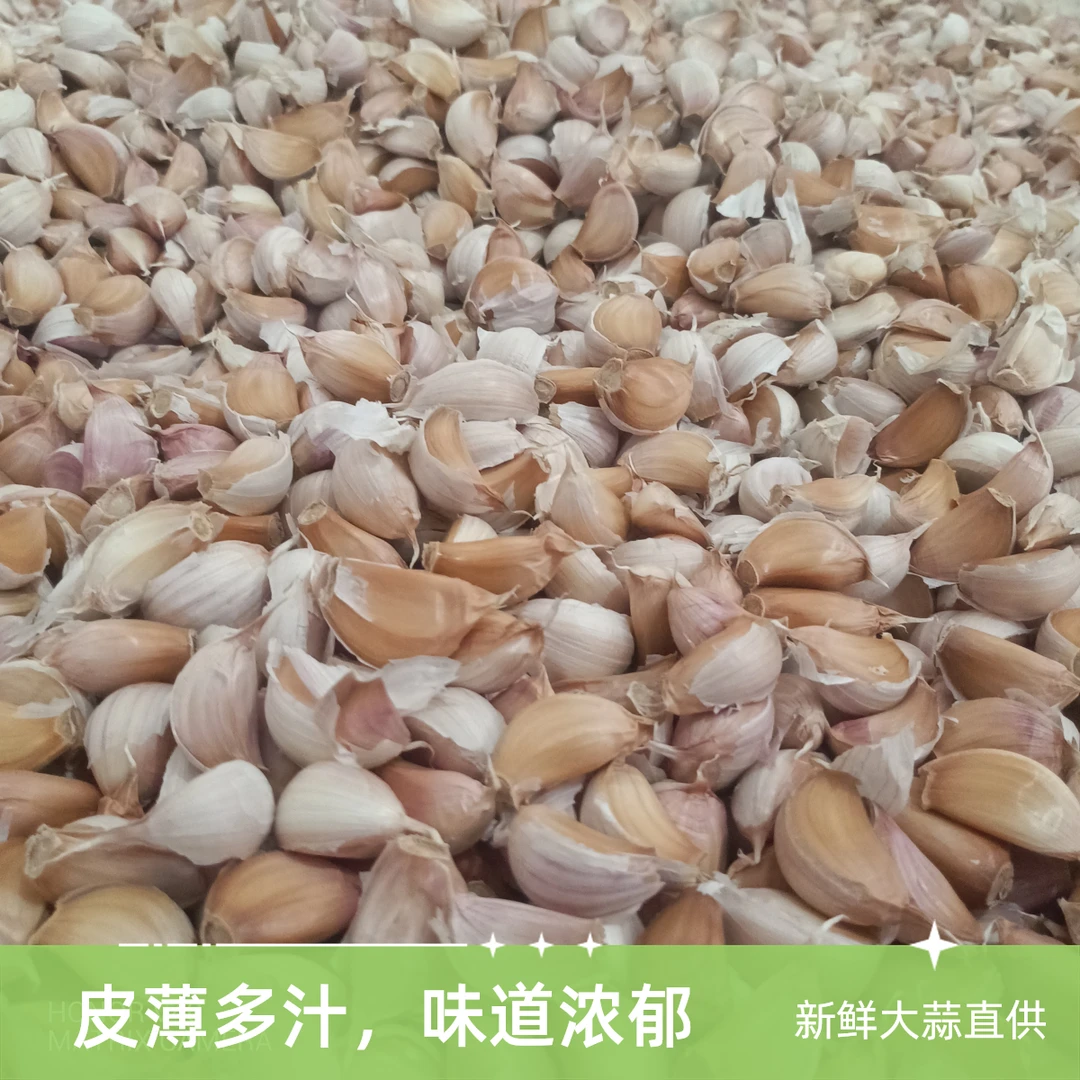 2025新鲜大蒜瓣可吃可种植蒜香味浓颗粒饱满