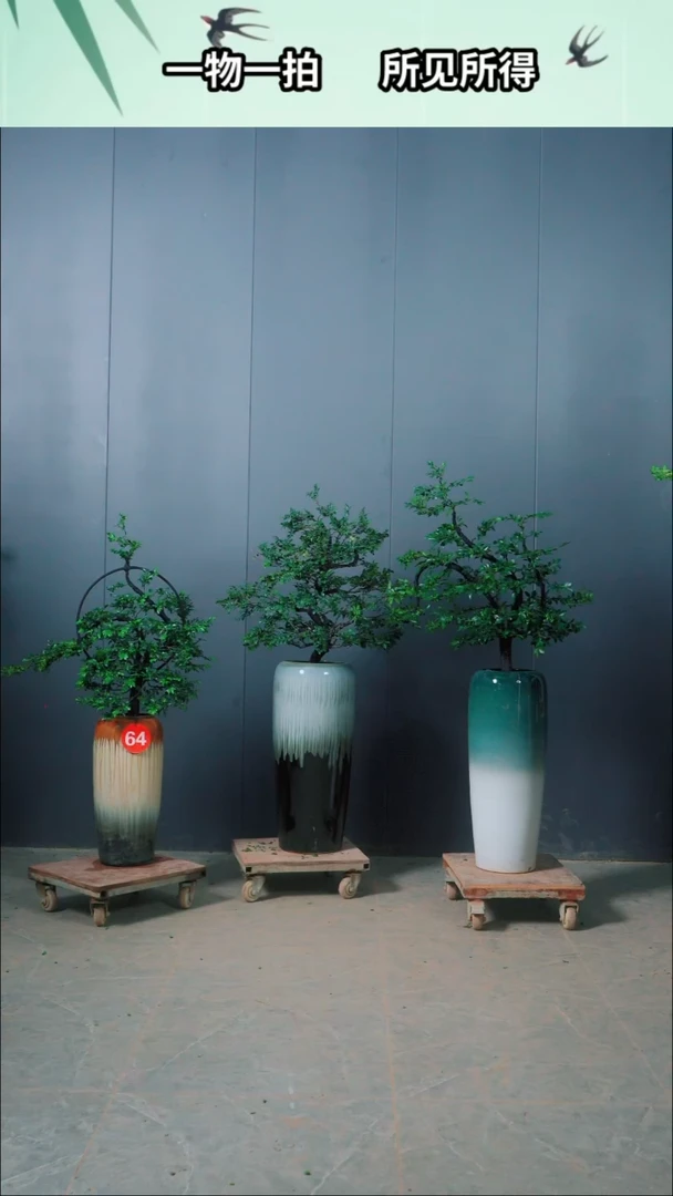 无花朵F***x三颗广东小叶紫檀