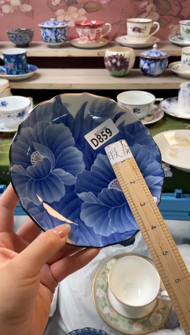 瓷片芝***萨瓷器瓷器D859