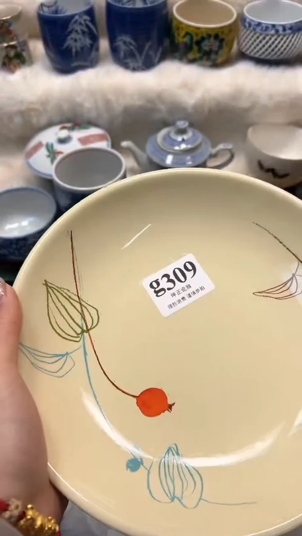 【闪购商品】瓷片          g309