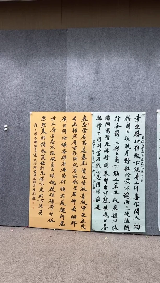 【闪购商品】书法pmb不二轩旗舰店国画ZJD11