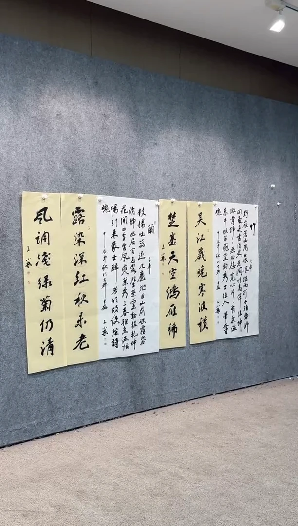 【闪购商品】书法pmw不二轩旗舰店书法WXD11