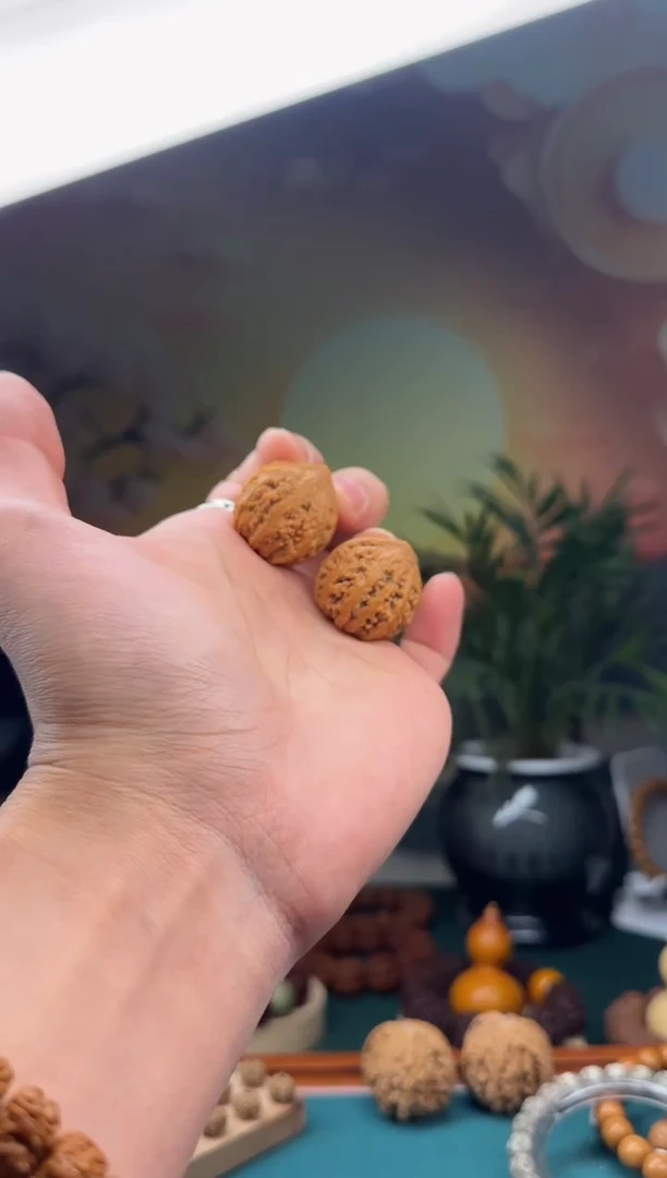 【闪购商品】文玩核桃吊坠小秋子一对（小手捻）